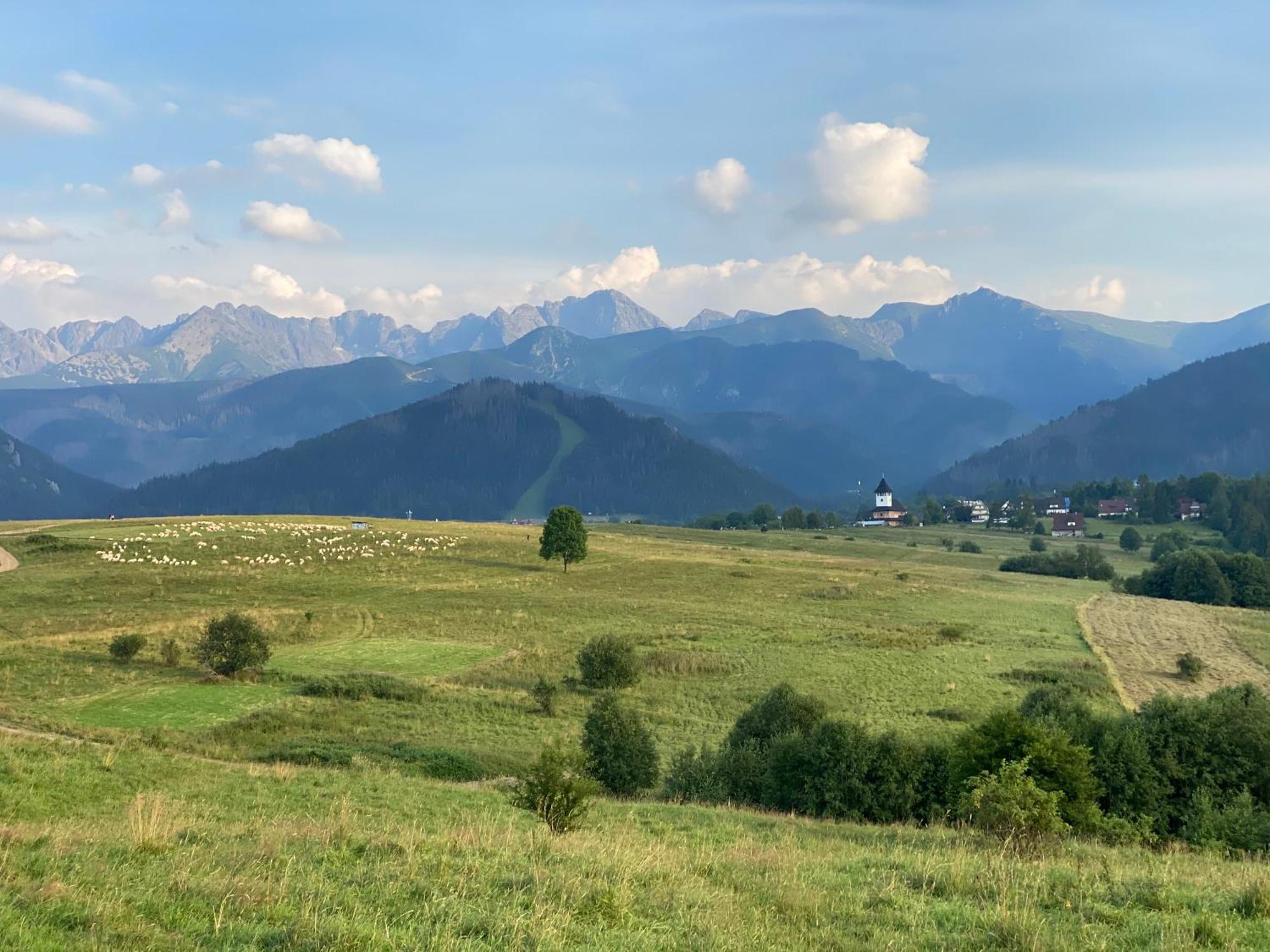 Apartament Pod Wierchem Zakopane Exteriér fotografie